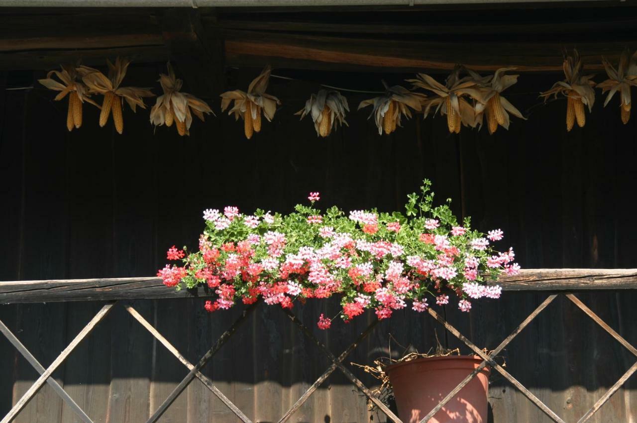 Reiterbauernhof Schoenlehenhof Mank Ngoại thất bức ảnh
